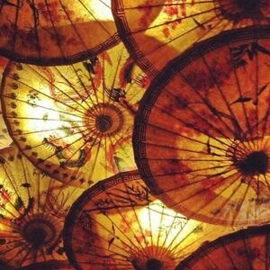 Meet your Posher, Zalma